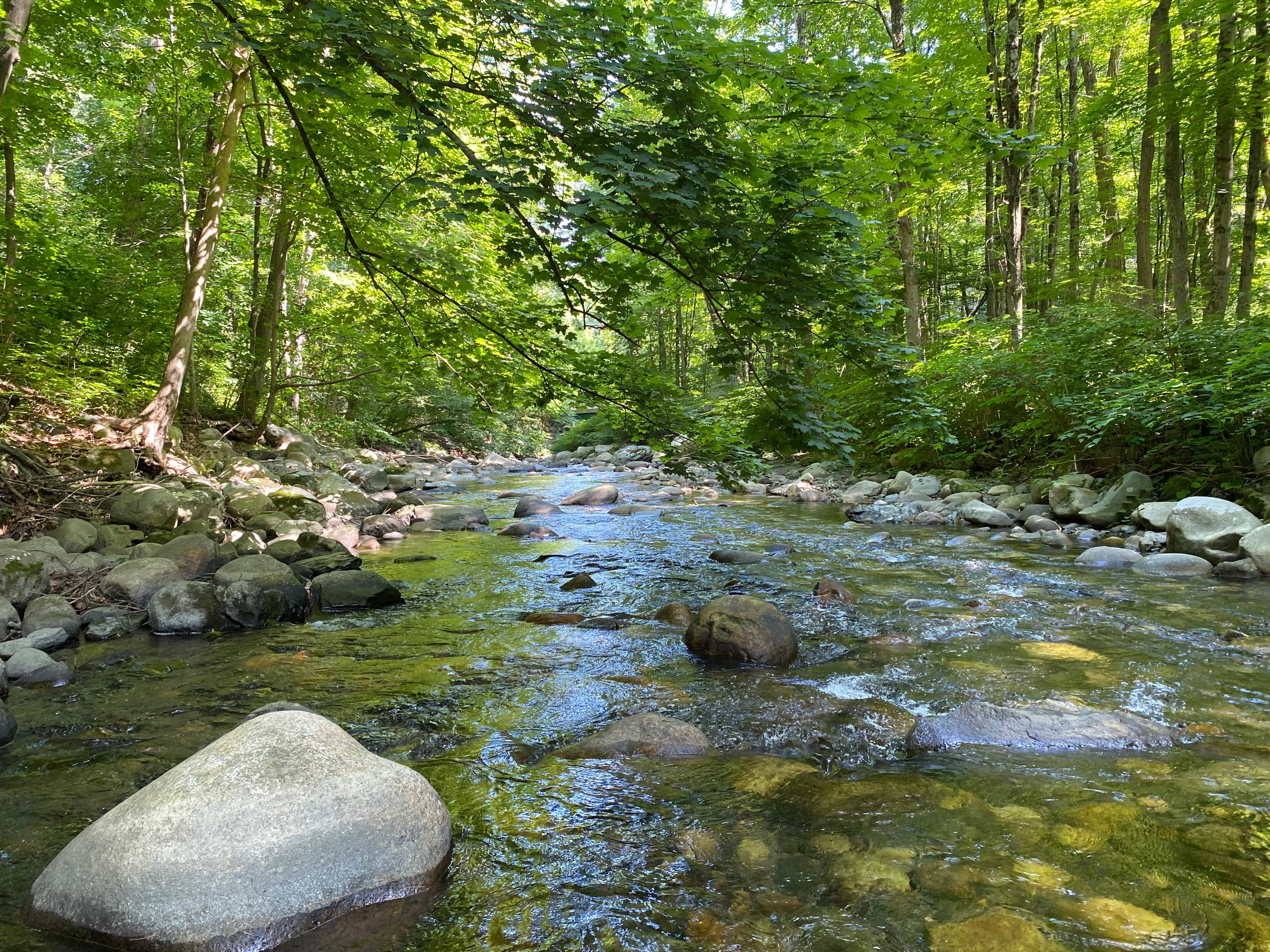 The Whetstone Brook, Southern Vermont
